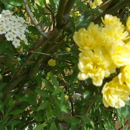 Rifugio Valentina Villa Uscio Ngoại thất bức ảnh