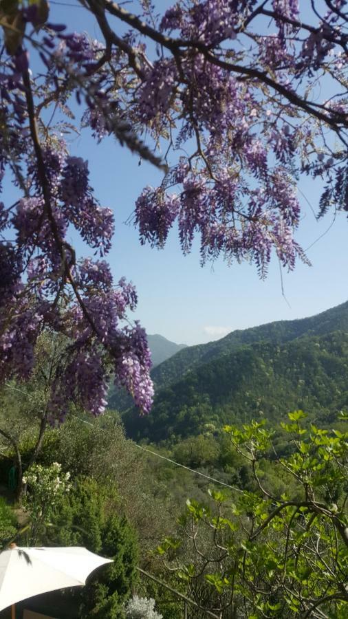 Rifugio Valentina Villa Uscio Ngoại thất bức ảnh